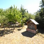 Garten_2_KH 250